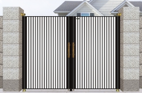N-007